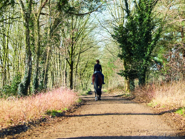 ALZ Antoni Patrientverhaal Jennifersekreve 4854