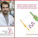 Collage Mezzadra R Rood