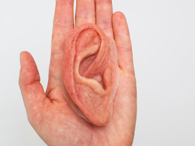 Oor op hand