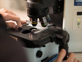 Biopsie microscoop