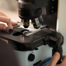 Biopsie microscoop