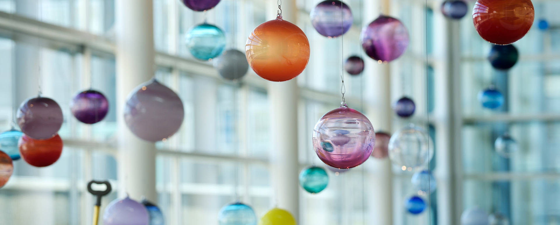 Bollen