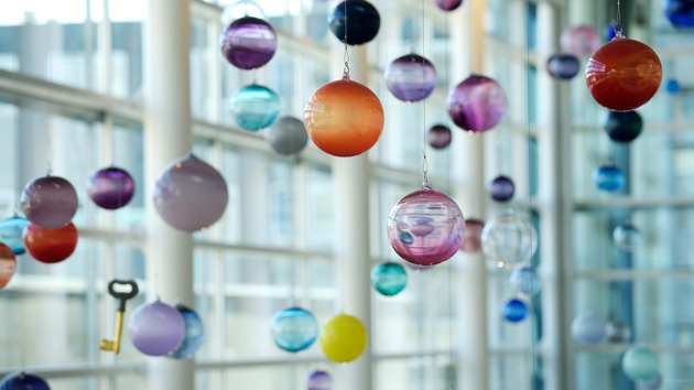 Bollen