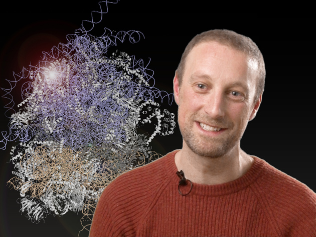 Liam Faller Netherlands Cancer Institute