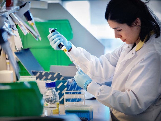 Onderzoeksfoto lab