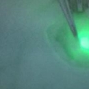 Hybride tracers schildwachtklier_innovatie