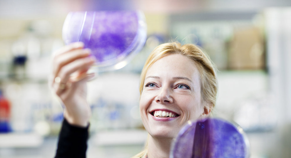 KWF steunt zes nieuwe onderzoeken | AVL