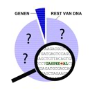 Illustratie Genetische Gaspedalen