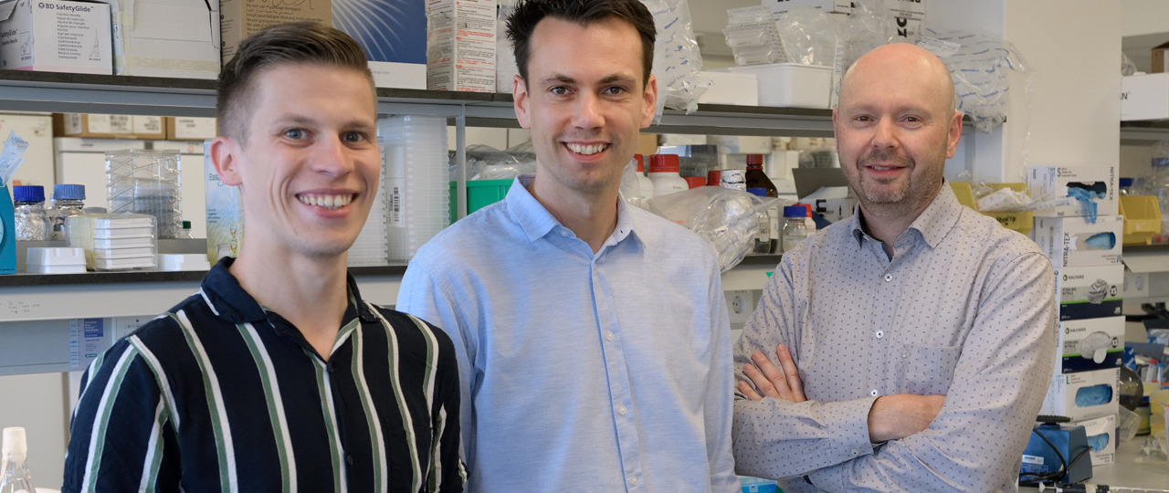 David, Thomas, Daniel