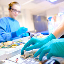 Farmacologie