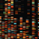 Dna Databank