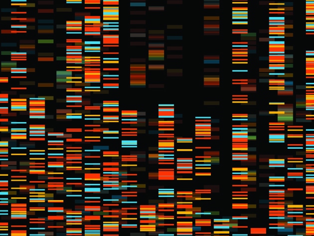 Dna Databank