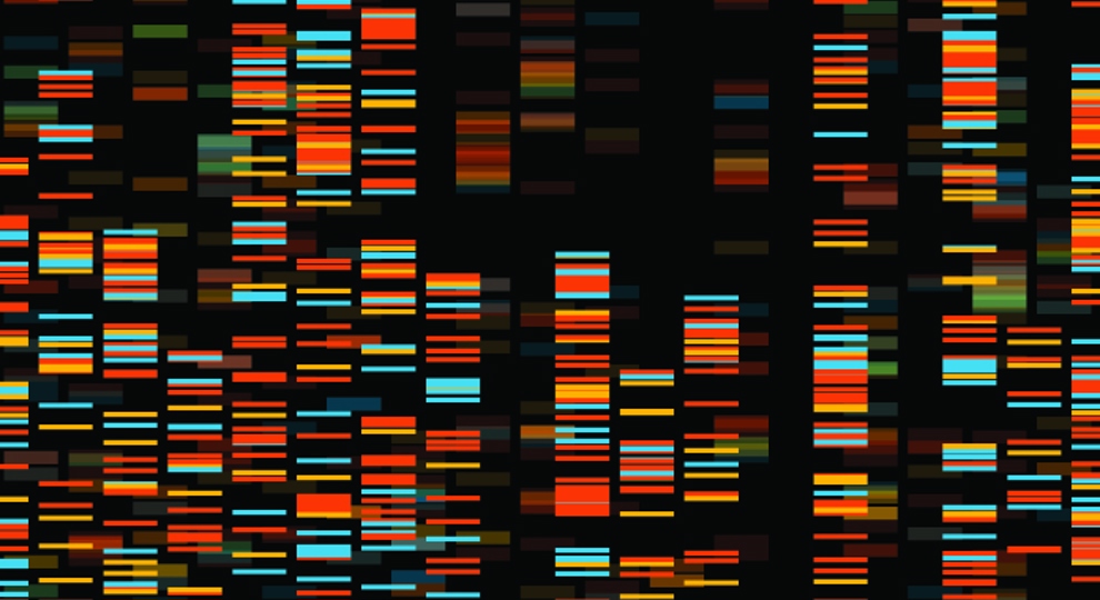 Dna Databank