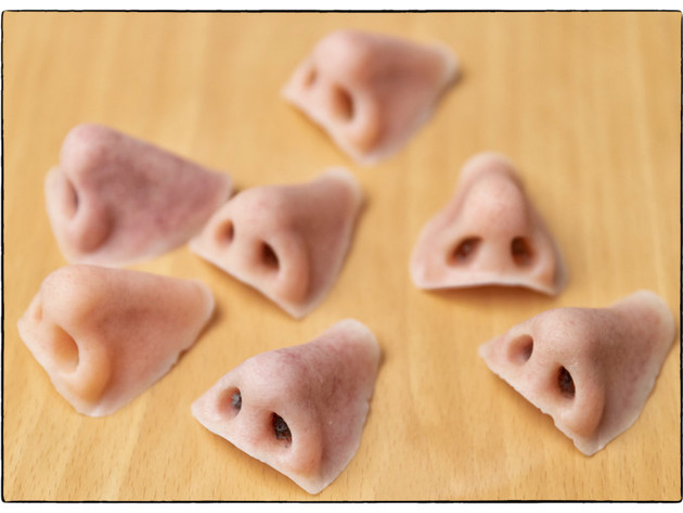 Neuzen In Diverse Tinten Els Captijn © Marco Okhuizen