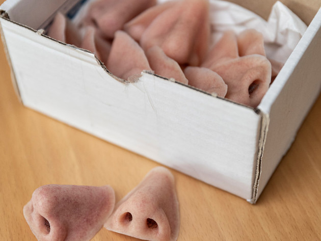 Het Doosje Met Neuzen Van Els Captijn © Marco Okhuizen