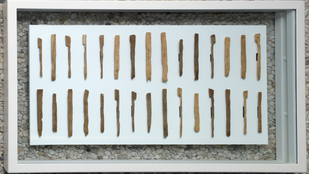 James Becket CU Takken