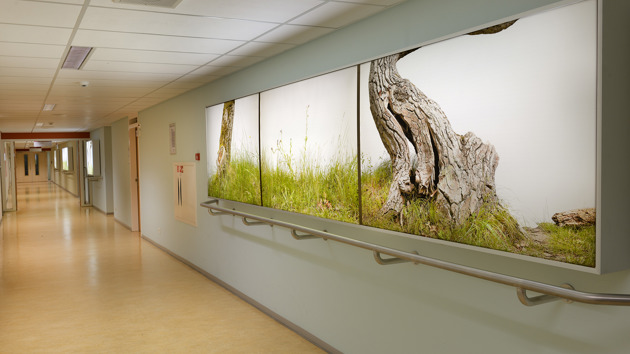 Karien Van Assendelft Secret Garden RT