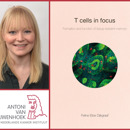 Collage Dijkgraaf Feline Rood