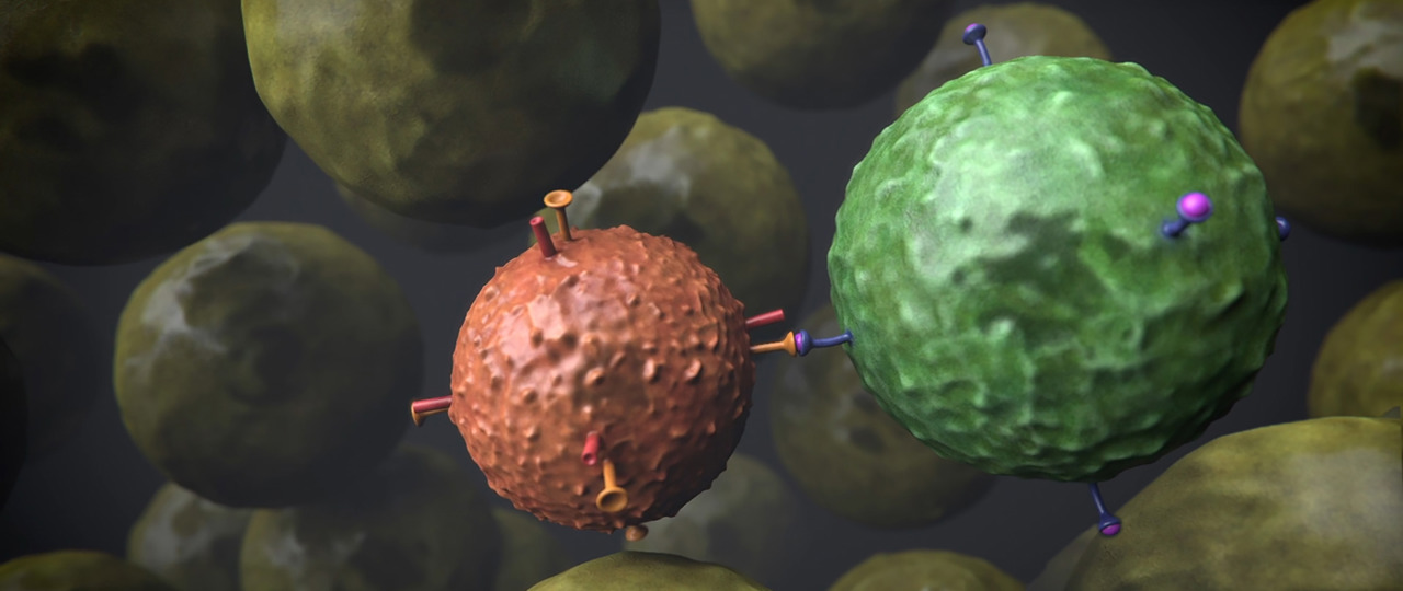 Immuuntherapie Nki Still