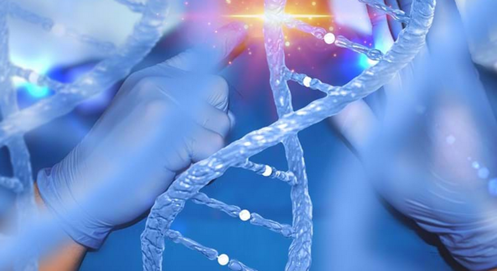 Whole Genome Sequencing Test Febr 2021
