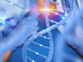 Whole Genome Sequencing Test Febr 2021