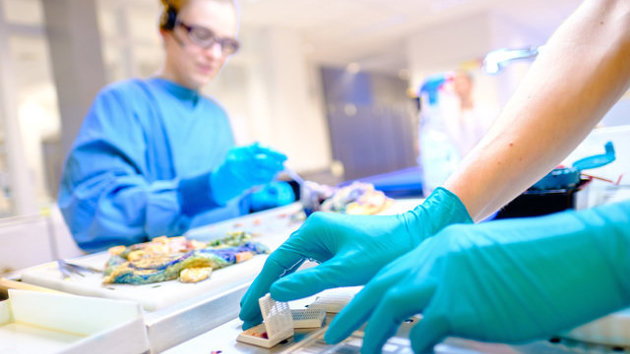 Farmacologie
