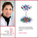 Collage Myriam Chalabi Rood