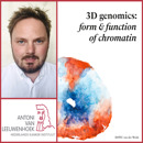 Collage Robin Vder Weide Rood