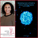 Collage Shuraila Zerp Rood