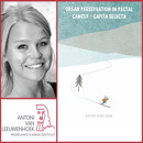 Collage Hester Eline Haak Rood