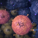 Celtherapie NKI Stil