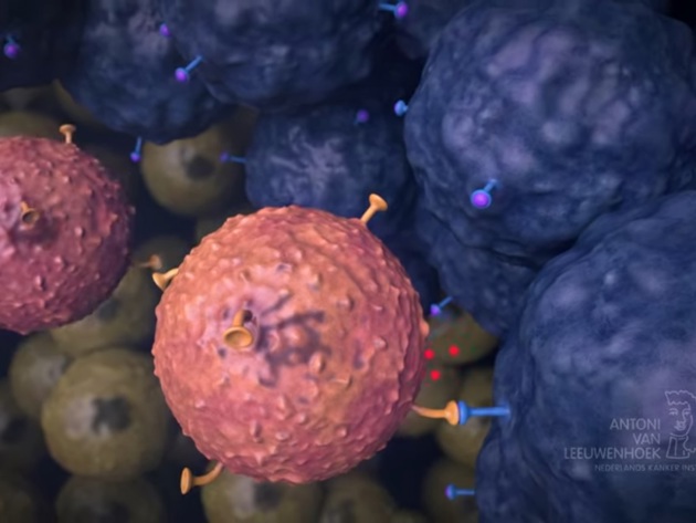 Celtherapie NKI Stil