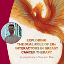 Banner AVL Nuno Padrao