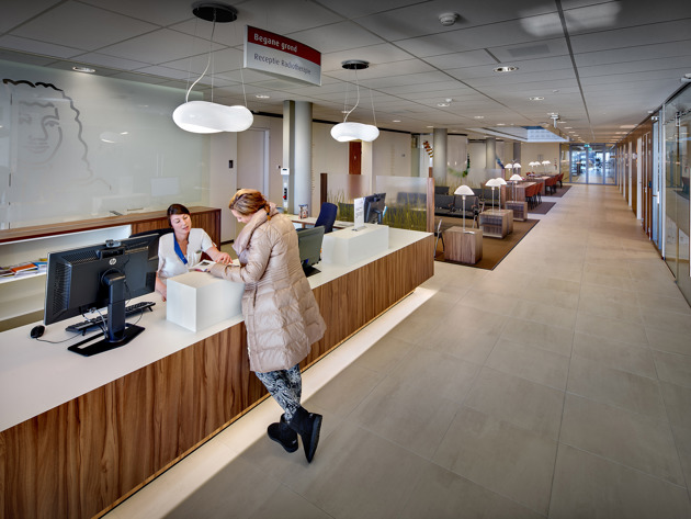 Hoofddorp, Receptie