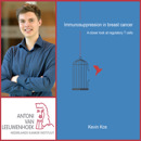 Collage Kevin Kos Rood