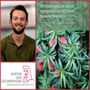 Collage Maarten V Eijk Rood