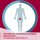 Peniskanker Patientenvereniging Bijeenkomst Liggend