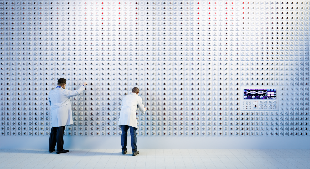 Brummelkamp paper muur mensen