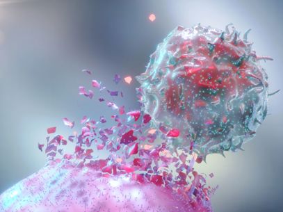 Lablinks Targeting The TME Header Image
