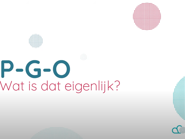 PGO Video