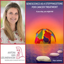 Collage Fleur Jochems Rood