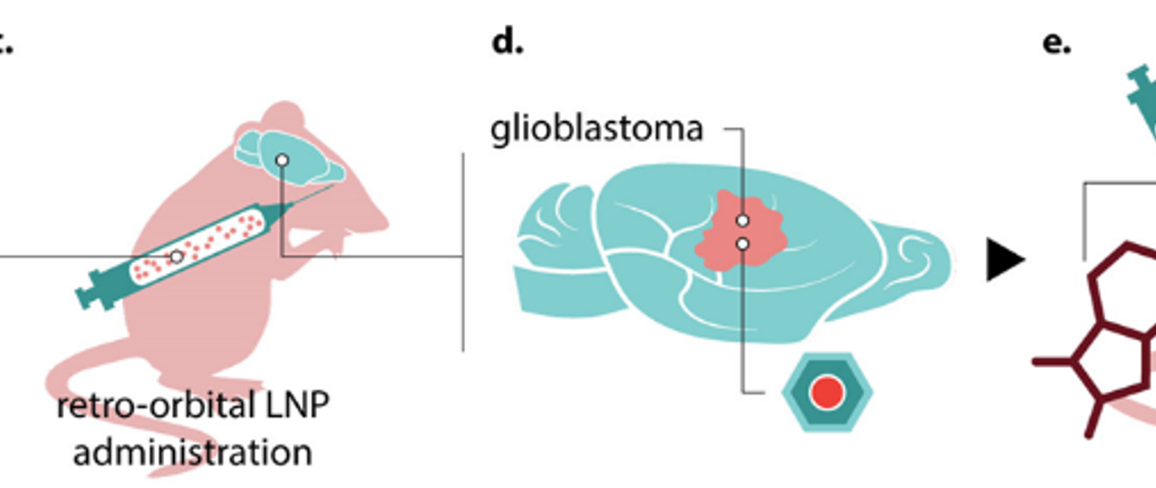 Scheme For Treatment