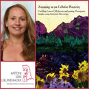 Collage Laura Bornes Rood