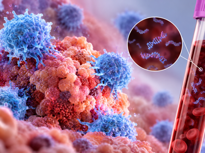 Immune Cells Targeting Tumor Biomarkers