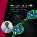 Banner AVL Niels Keijzer