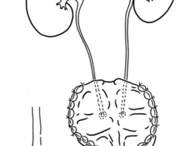Indiana Pouch Schema