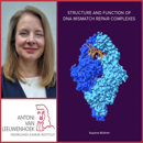 Collage Susanne Brukner Rood