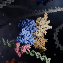 Zincore Structure