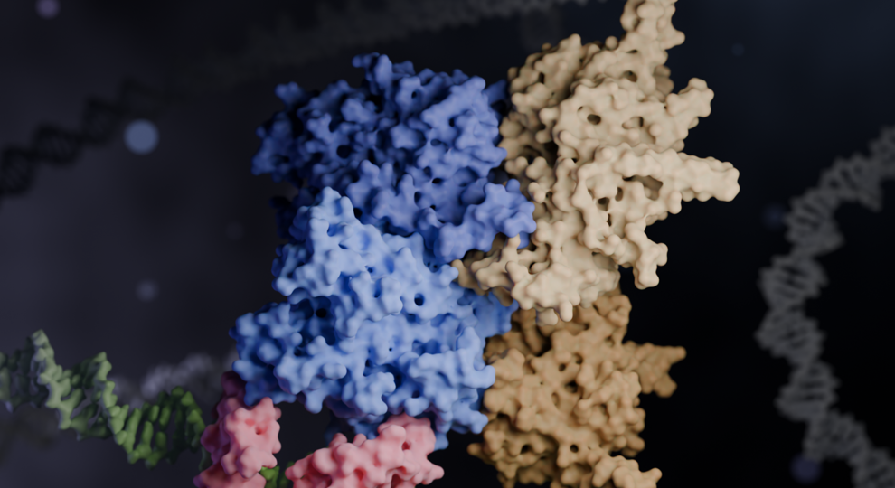 Zincore Structure