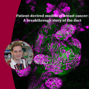 Banner AVL Stefan Hutten